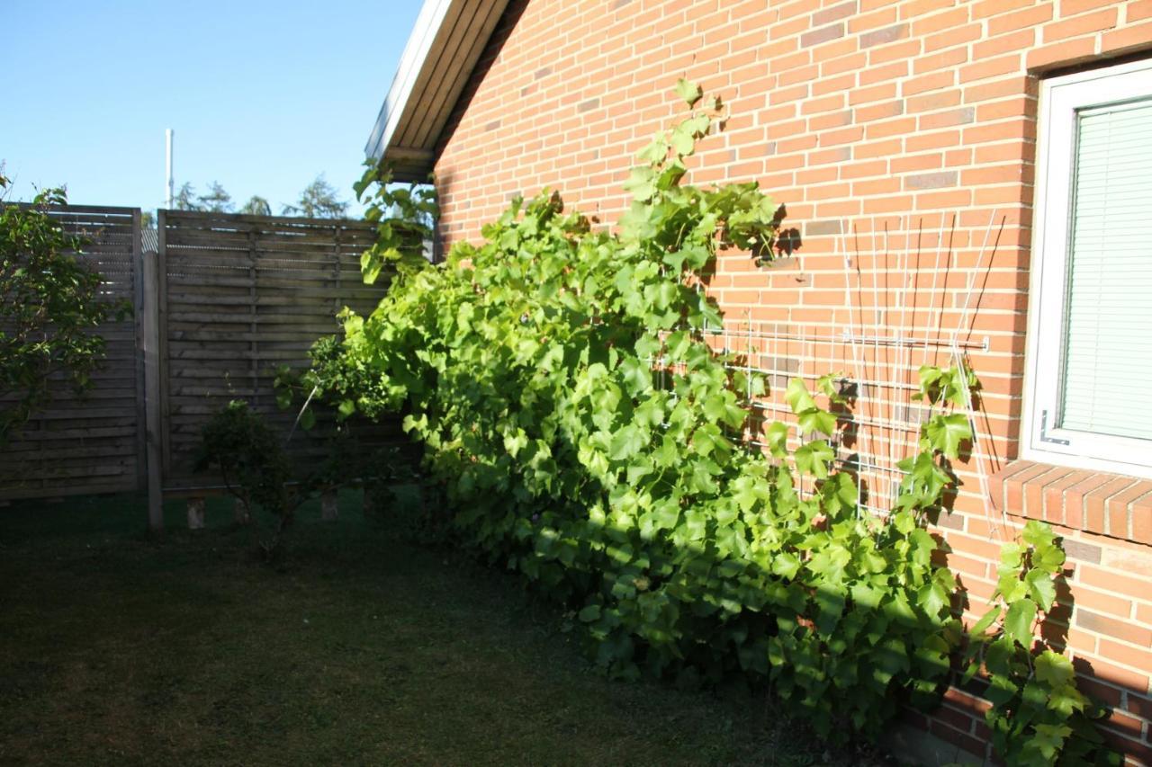 Hine Bakke Bed And Breakfast Rudkøbing Екстериор снимка